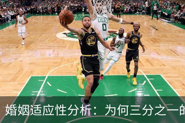 婚姻适应性分析：为何三分之一的个体不适于结婚